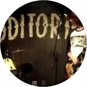 The Styrofoam Turtles - Musical artist