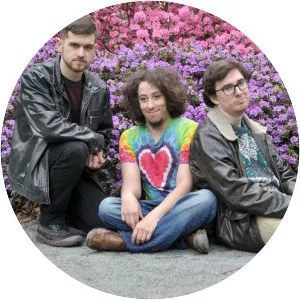 The Summer Rabbit - Musical artist