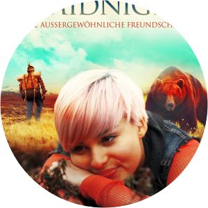 The Sun at Midnight photograph