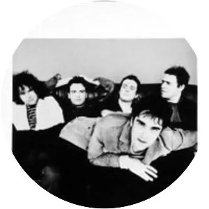 The Supernaturals - Rock band