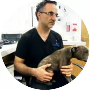 The Supervet