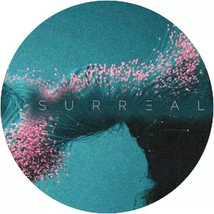 The Surrealist - Musical artist