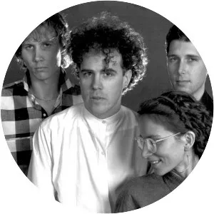 The Swimming Pool Q's - Pop band