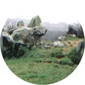 The Three Collas photograph