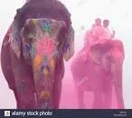 The Three Elephants Festival - Music Festival