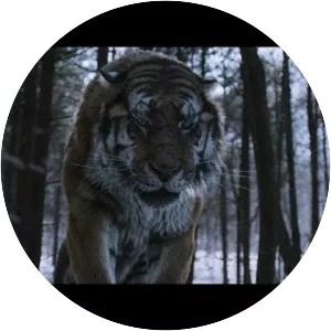 The Tiger: An Old Hunter's Tale - 2015 ‧ Drama/Thriller ‧ 2h 19m