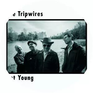 The Tripwires
