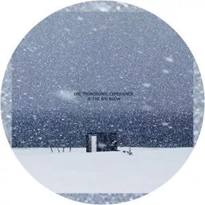 The Tronosonic Experience - Musical group