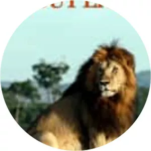 The Truth About Lions - TV program