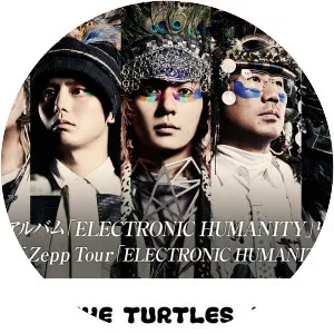 THE TURTLES JAPAN