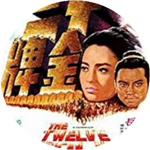 The Twelve Gold Medallions - 1970 ‧ Action/Martial Arts