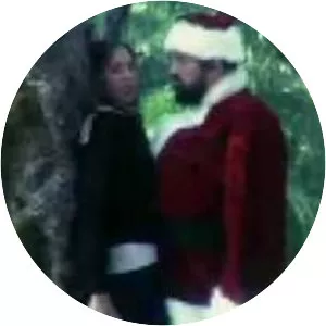 The Twilight Before Christmas