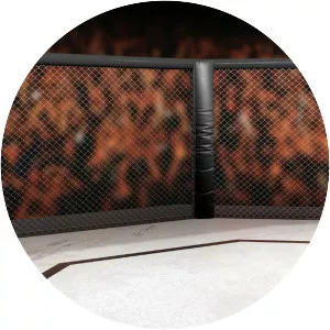 The Ultimate Fighting Championship - TV program