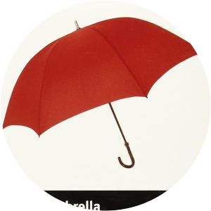 The Umbrella Clare Harris