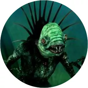 The Vampires of Venice photograph