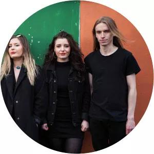 The Van T's - Musical group