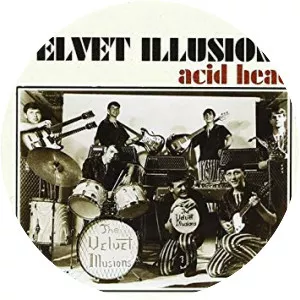 The Velvet Illusions