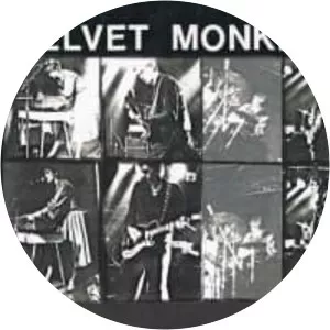 The Velvet Monkeys
