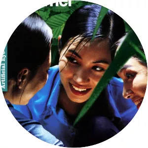 The Vertical Ray of the Sun