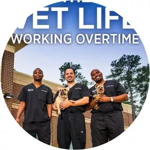The Vet Life: Working OvertimeSince 2017