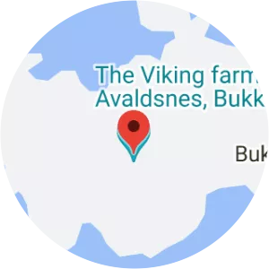 The Viking Village on Bukkøy (Viking Farm at Bukkøy) - 