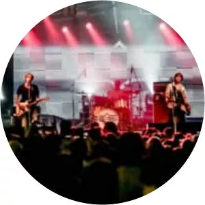 The Vines - Rock band