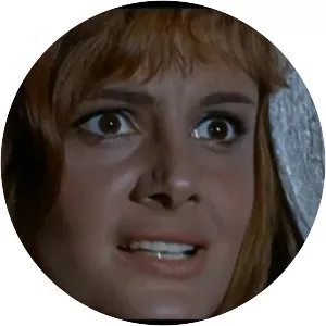 The Virgin of Nuremberg