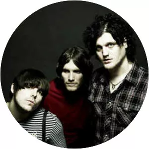 The Virginmarys