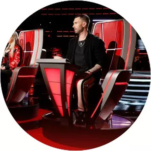 The Voice - American television series