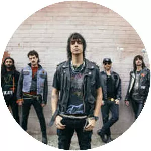 The Voidz