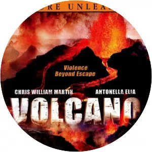 The Volcano Disaster