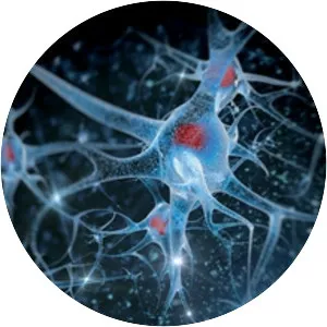 The W. Garfield Weston Foundation