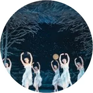 The Washington Ballet