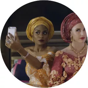 The Wedding Party - 2016 ‧ Romance/Comedy ‧ 1h 50m