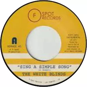 The White Blinds - Musical artist