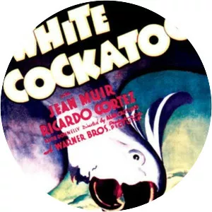 The White Cockatoo