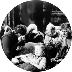 The White Rose - 1923 ‧ Silent ‧ 1h 40m