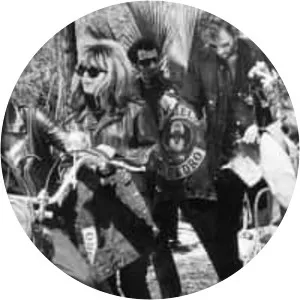 The Wild Angels  - Rock band