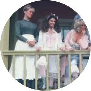 The Wild Women of Chastity Gulch - 1982 ‧ Comedy/Western ‧ 1h 41m