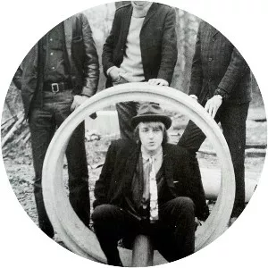 The Wilde Flowers - Musical group