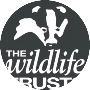 The Wildlife Trusts