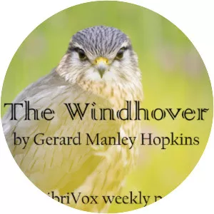 The Windhover