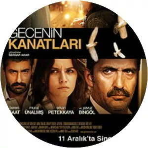 The Wings of the Night (Gecenin Kanatları)