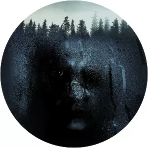 The Witch in the Window