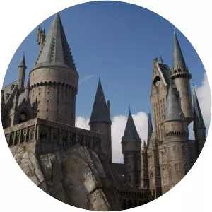 The Wizarding World of Harry Potter photograph