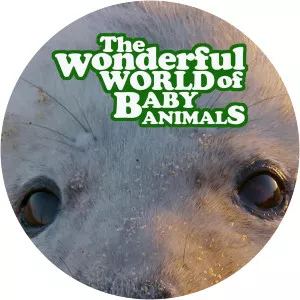 The Wonderful World of Baby AnimalsSince 2019