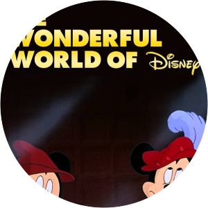 The Wonderful World of Disney photograph