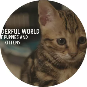 The Wonderful World of Puppies and Kittens2017