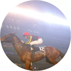 The World of Racing - TV program