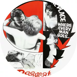 The World Ten Times Over - 1963 ‧ Drama ‧ 1h 33m